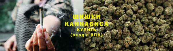 шишки Богданович